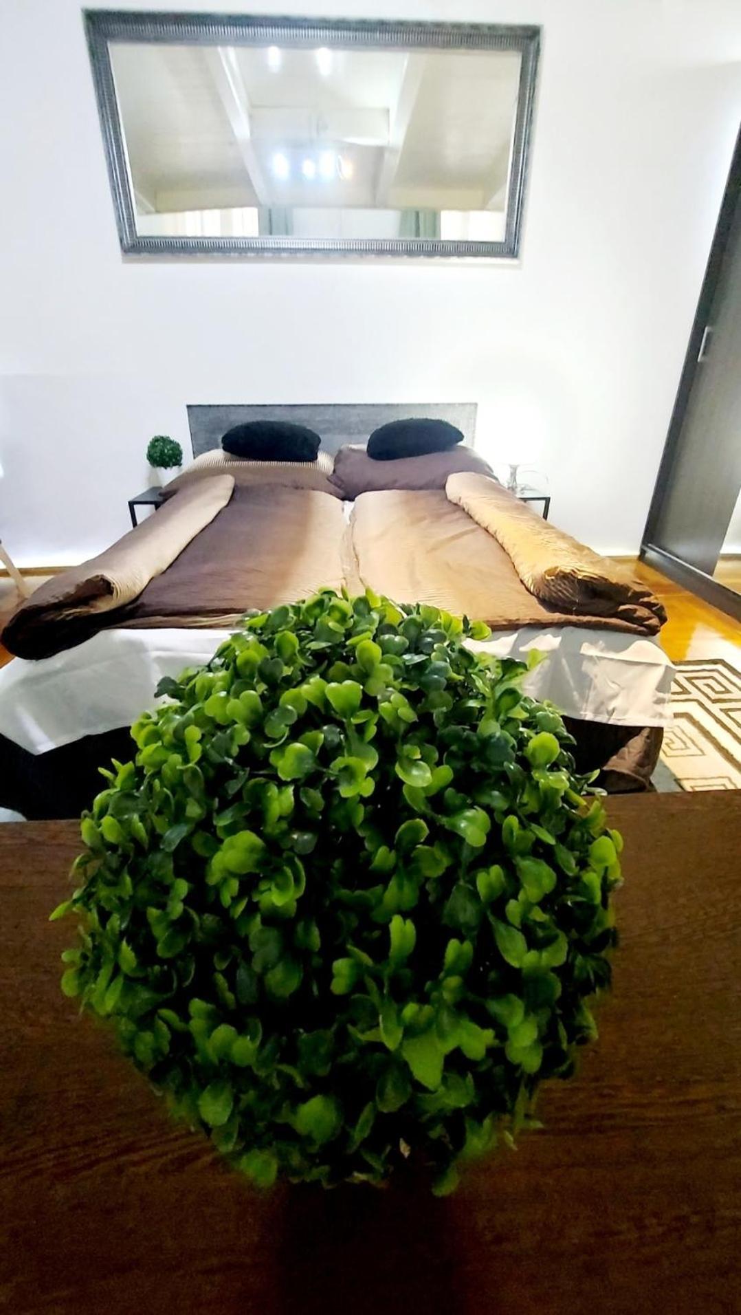 Home City Center Terrace Apartment Budapest Exterior foto
